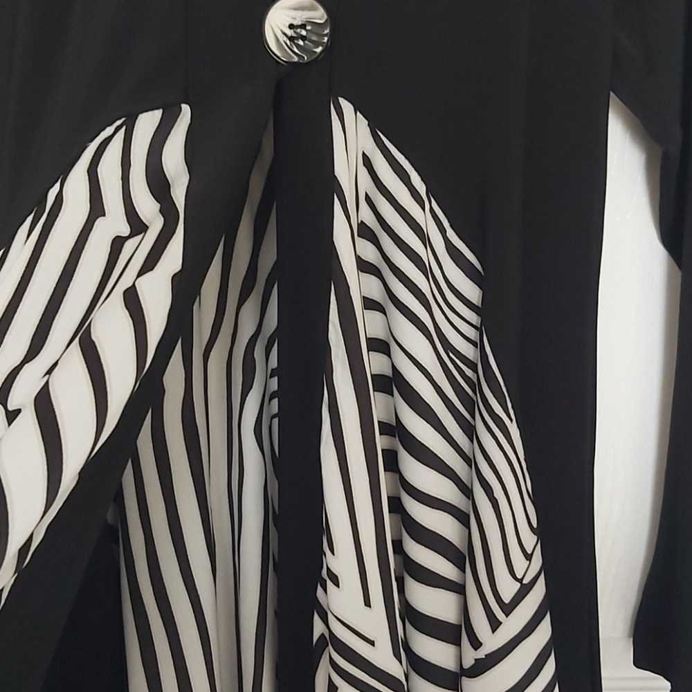 Spring Jacket - Picture 3 of 4